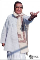 NTR Birthday Special Gallery